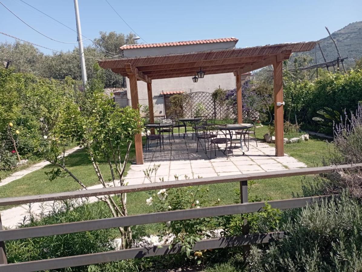 Vivere A Colori Vico Equense Εξωτερικό φωτογραφία